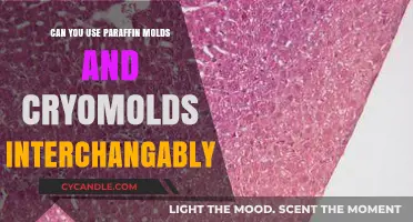 Paraffin Molds vs. Cryomolds: Are They Interchangeable in Histology?