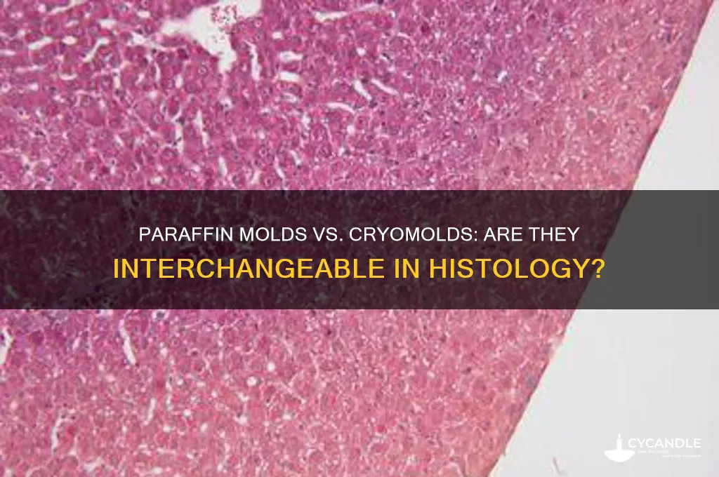 can you use paraffin molds and cryomolds interchangably