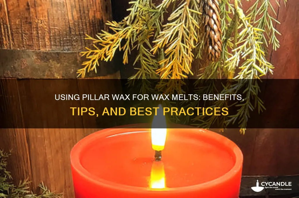 can you use pillar wax for wax melts