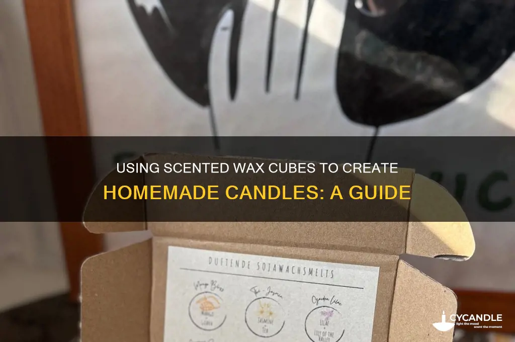 can you use scented wax cubes to make candles