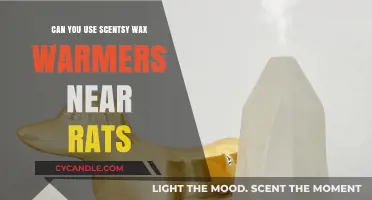 Scentsy Wax Warmers and Rats: Safe Usage Tips for Pet Owners