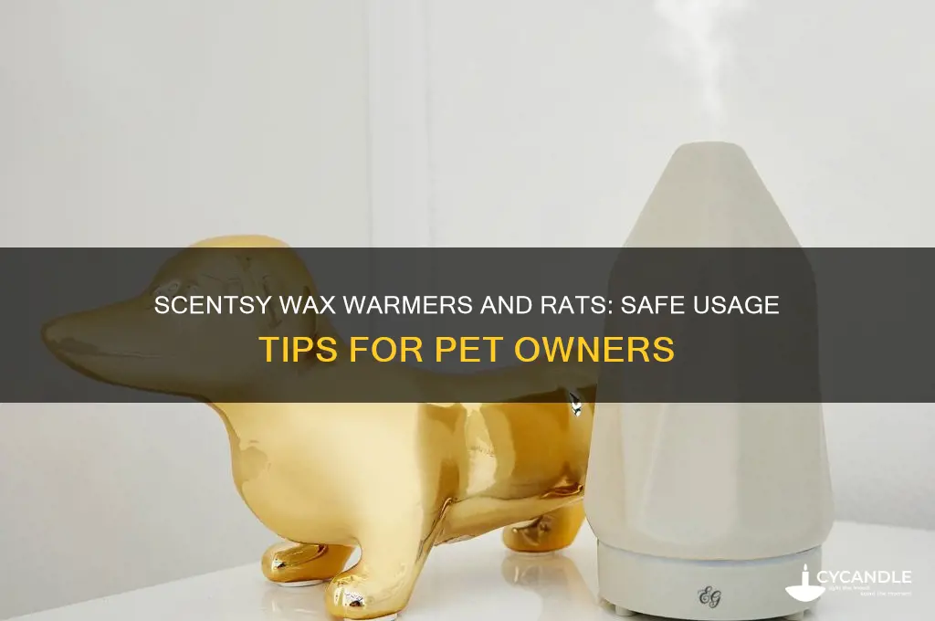can you use scentsy wax warmers near rats