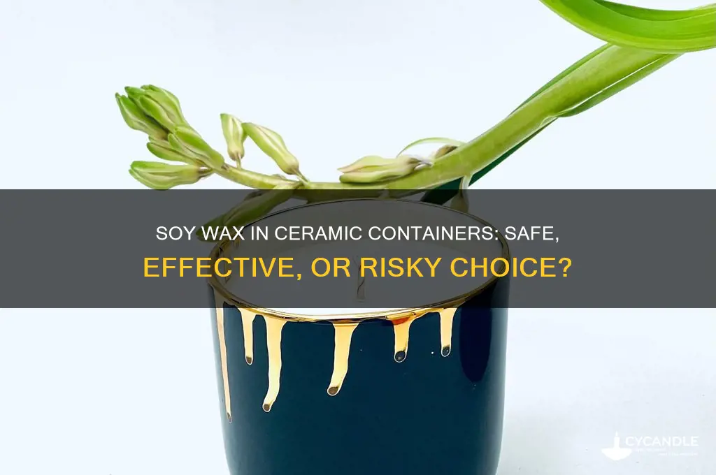 can you use soy wax in ceramic containers