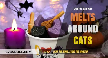 Are Wax Melts Safe for Cats? A Pet Owner's Guide