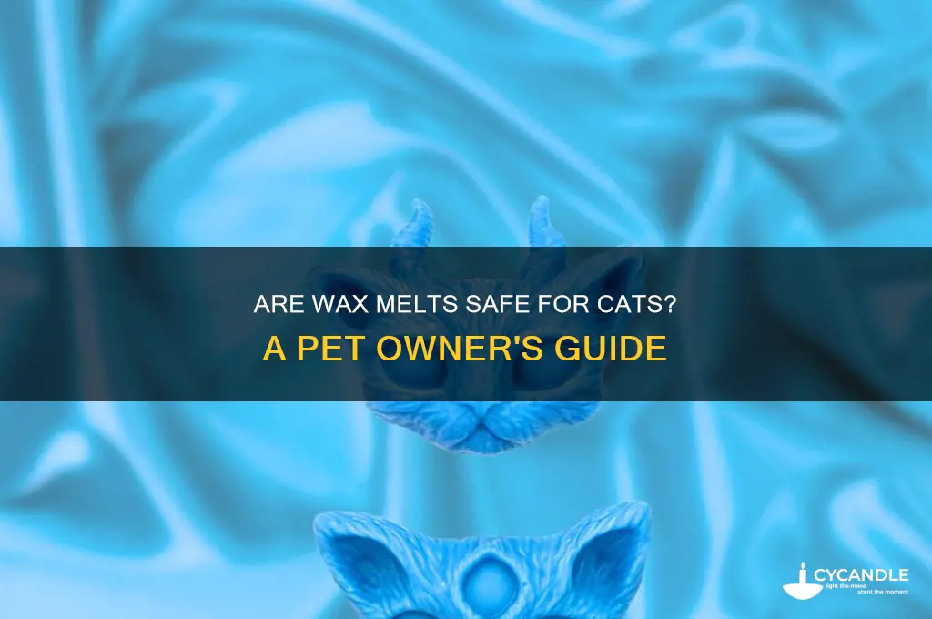 can you use wax melts around cats