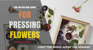 Using Wax Paper for Pressing Flowers: Tips and Techniques