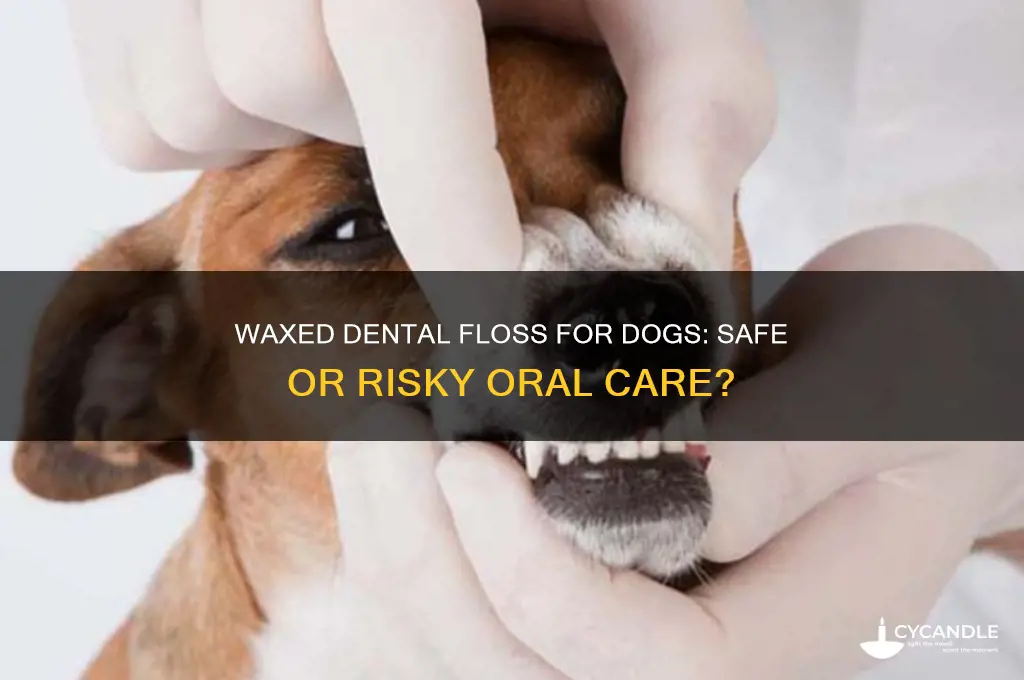 can you use waxed dental floss on dogs