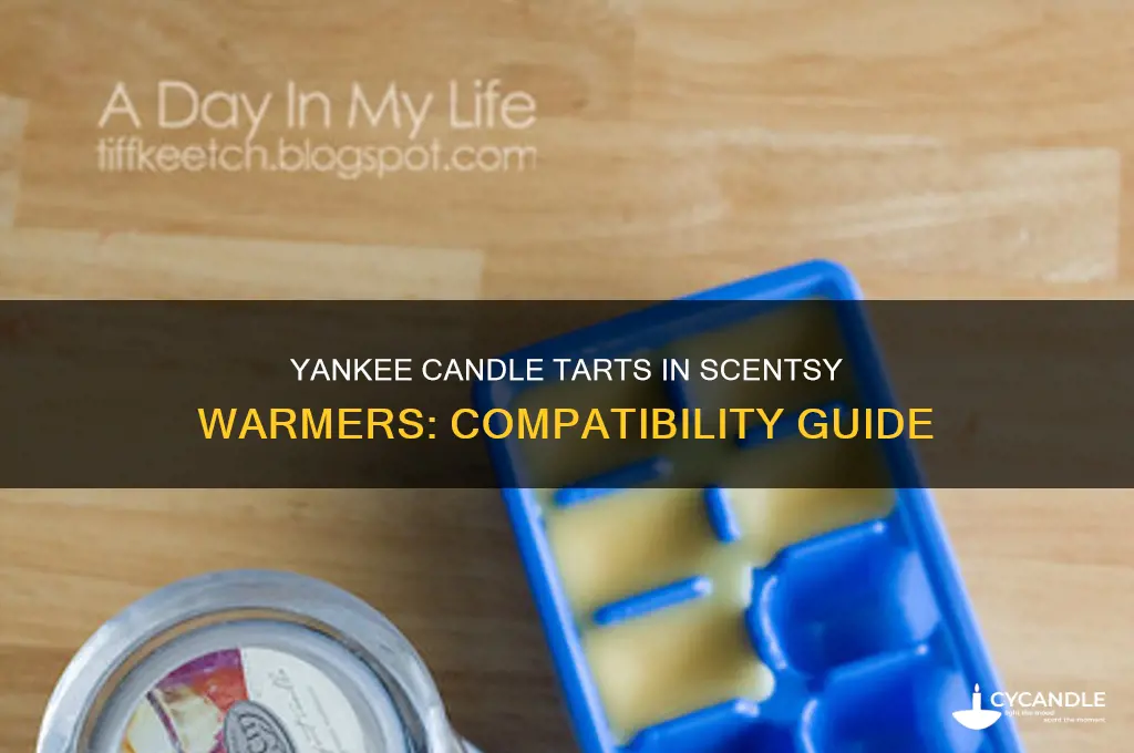 can you use yankee candle tarts in scentsy warmer