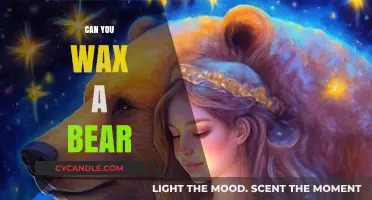 Can You Wax a Bear? Unraveling the Myth and Reality