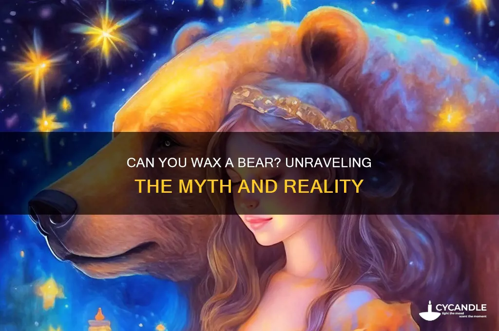 can you wax a bear