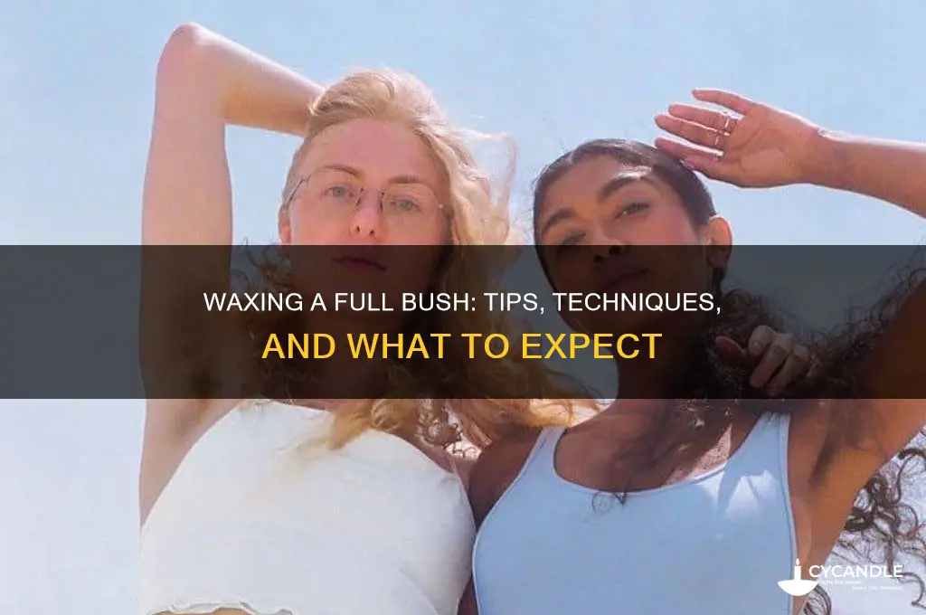 can you wax a full bush