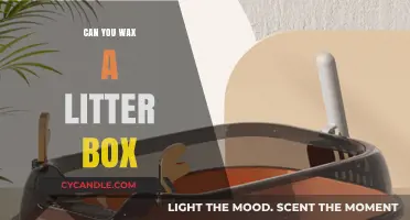 Waxing Your Litter Box: A Creative Cleaning Hack or Hazard?
