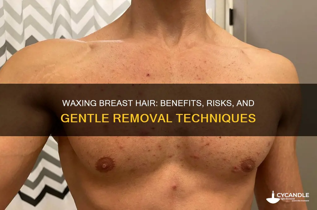 can you wax boob hair