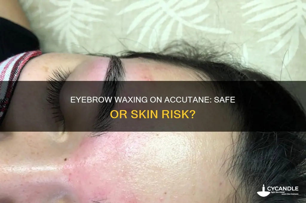 can you wax eyebrows on accutane