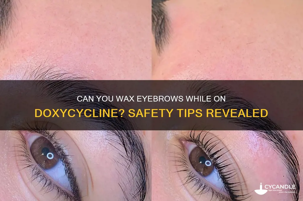 can you wax eyebrows with doxcycline