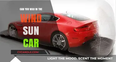 Waxing Your Car in Windy, Sunny Conditions: Tips and Tricks