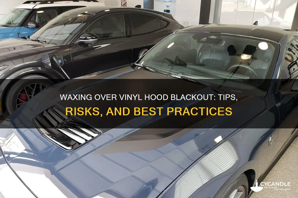 can you wax over vinyl hood blackout