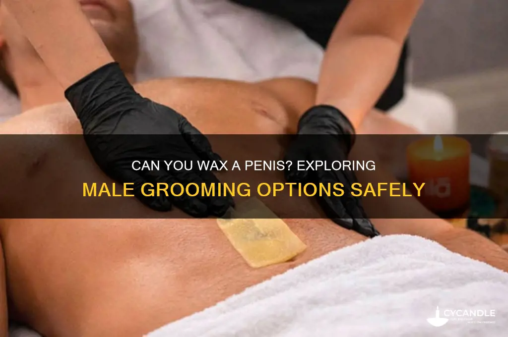 can you wax penis