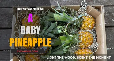 Wax Preservation Guide: Can You Save a Baby Pineapple?