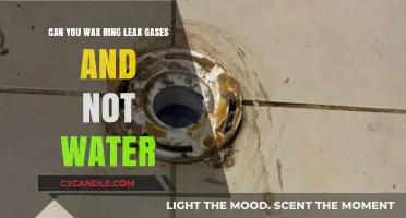 Wax Ring Leaks: Understanding Gas Escapes Without Water Issues