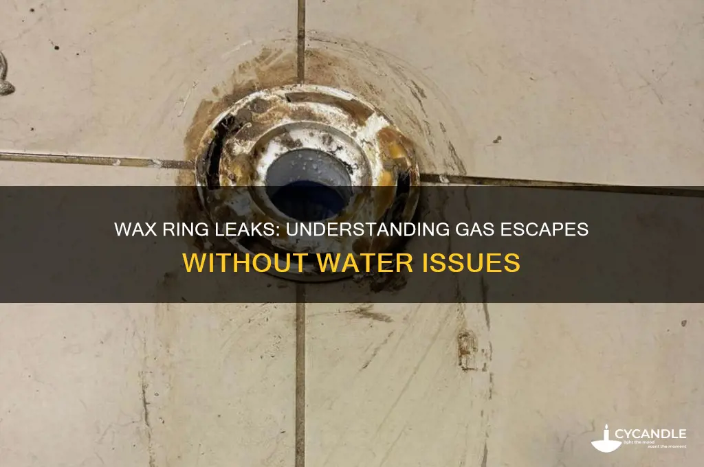 can you wax ring leak gases and not water