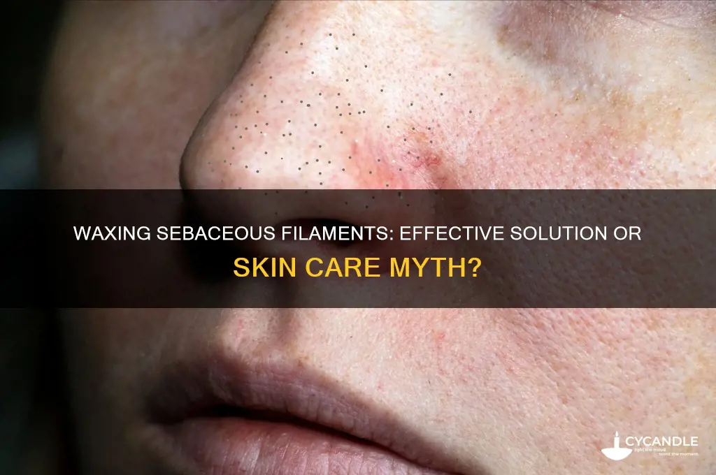 can you wax sebaceous filaments