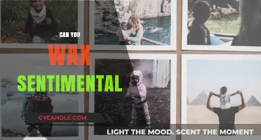 Waxing Sentimental: Exploring the Art of Nostalgic Reflection and Emotion