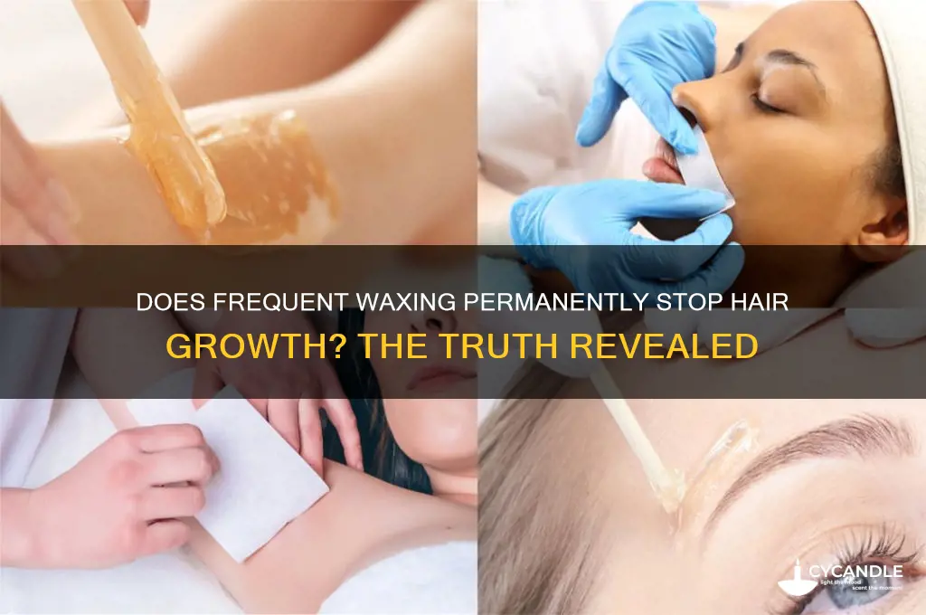 can you wax so much it stops growing