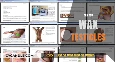 Exploring the Unusual: A Guide to Testicular Waxing