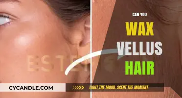 Waxing Vellus Hair: Effective Removal or Unnecessary Hassle?