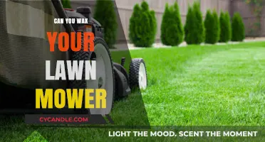 Waxing Your Lawn Mower: Benefits, Risks, and Step-by-Step Guide