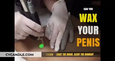 Exploring Personal Grooming: The Truth About Penis Waxing