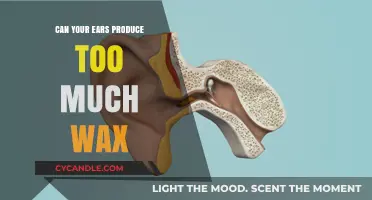 Excess Ear Wax: Causes, Symptoms, and Safe Removal Tips