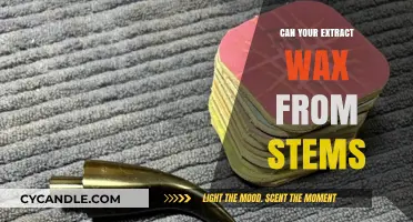 Extracting Wax from Stems: A Comprehensive Guide for Beginners