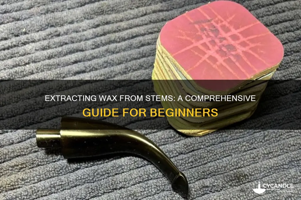 can your extract wax from stems