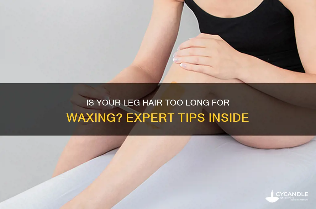 can your leg hair be too long to wax