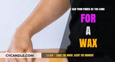 Pubic Hair Length and Waxing: How Long is Too Long?