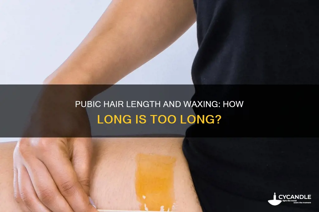 can your pubes be too long for a wax