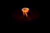 candle burn