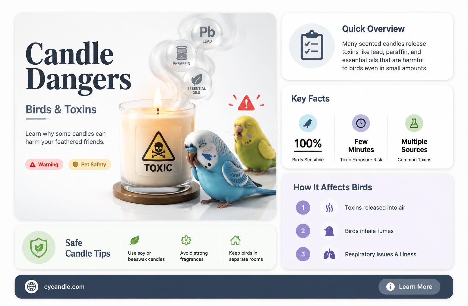 are candles dangerous for birds