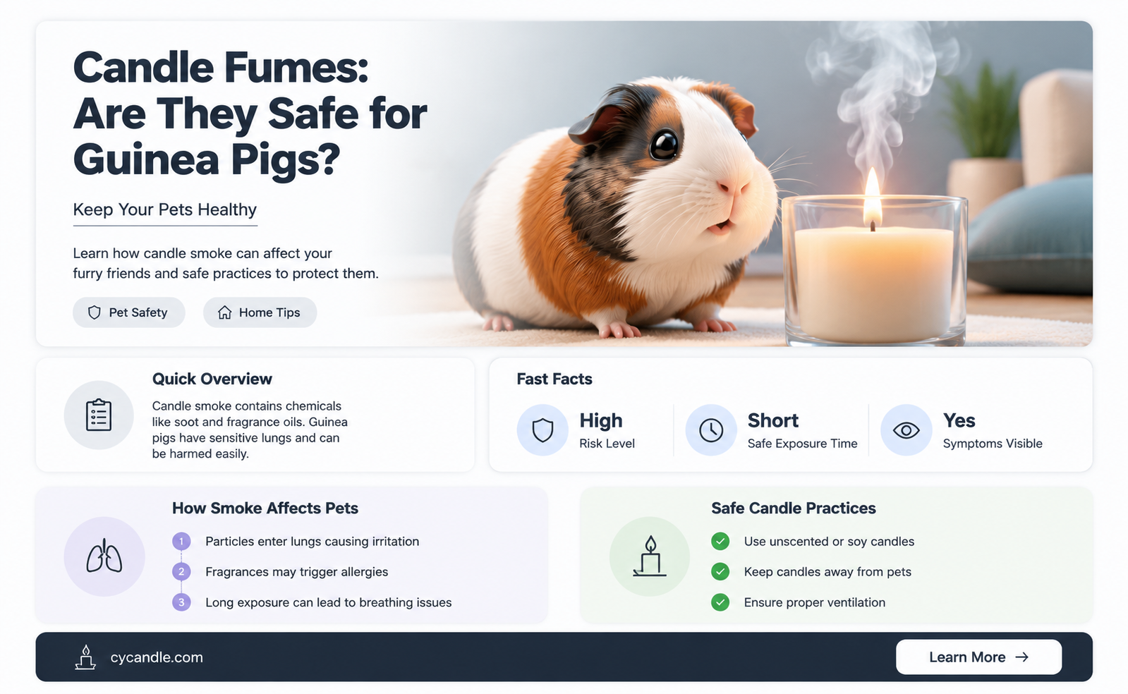 are candles bad for guinea pigs