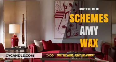 Amy Wax's Bold Color Schemes: Foolproof Combinations for Stunning Designs