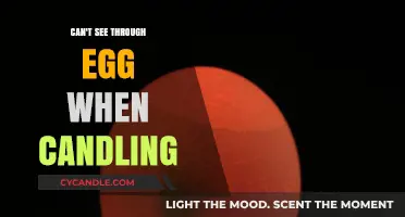 Troubleshooting Candling: Why You Can't See Through Your Eggs Clearly