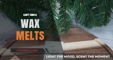 Why Can't I Smell Wax Melts? Troubleshooting Tips for Better Scent Throw