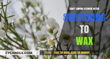 Why Wax Wins: The Shift from Flower to Concentrates Explained