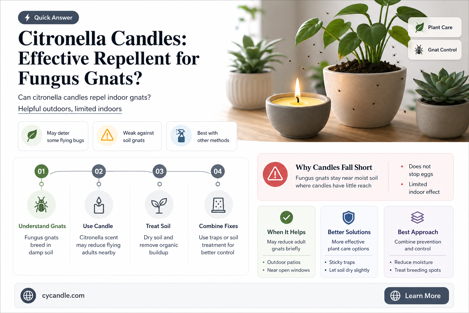 are fungus gnats affected by citronella candles
