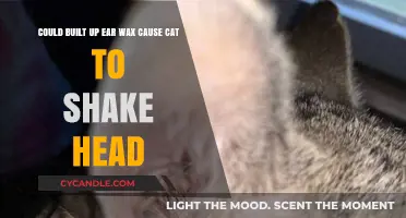 Could Built-Up Ear Wax Cause Your Cat to Shake Its Head?