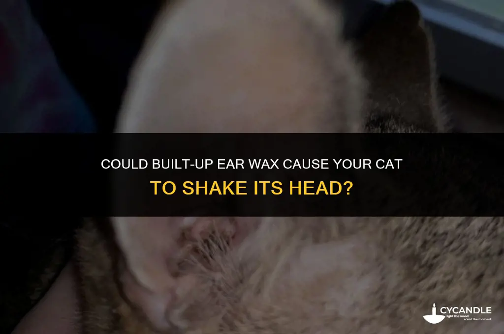 could built up ear wax cause cat to shake head