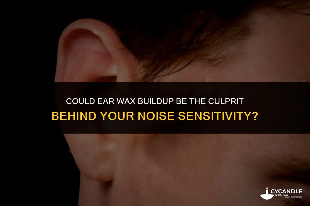 could ear wax cause noise sensitivity