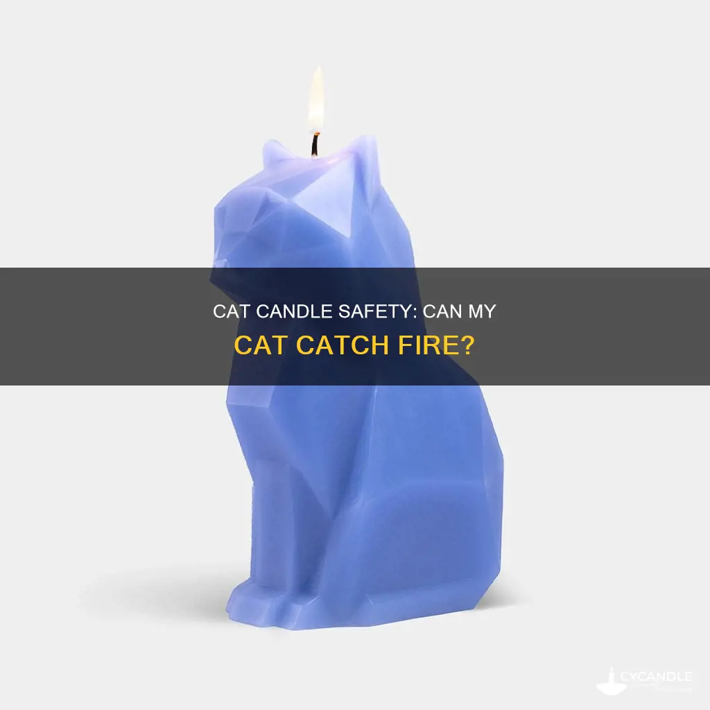 could my cat catch itself on fire from a candle